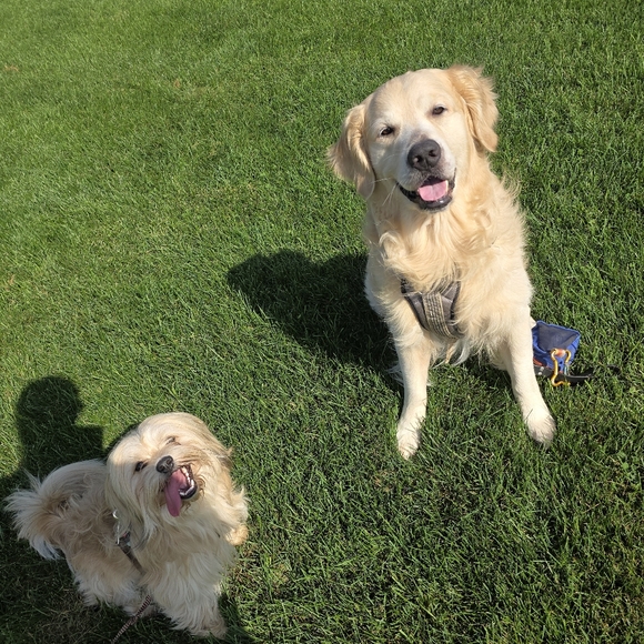 Meet your Posher, Jennah - Picture 12 of 14